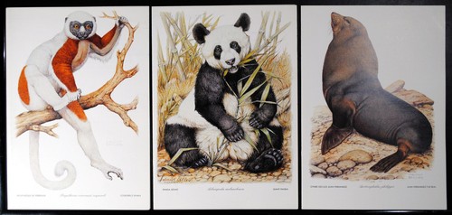 Menu air france wwf - 3, panda