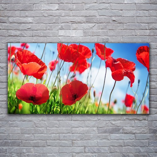 Photo sur toile tableau image - sur,
