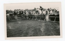 Photo SNAPSHOT 1930, équitation saut d'obstacle course militaire cheval horse