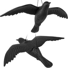 Corbeau Anti-Pigeon en