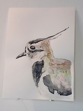 Vanneau huppé AQUARELLE ORIGINALE Portrait d'oiseau Campagne Peinture
