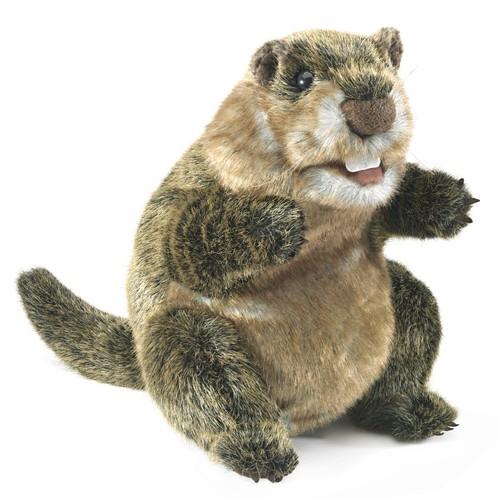 Folkmanis groundhog hand - folkmanis,