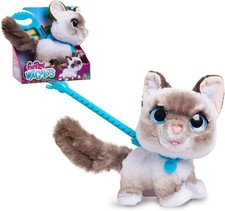 Fourrure Véritable Chat Chiot