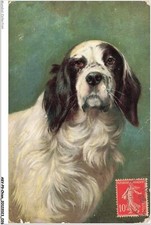 AKVP9-0658-CHIEN - EPAGNEUL