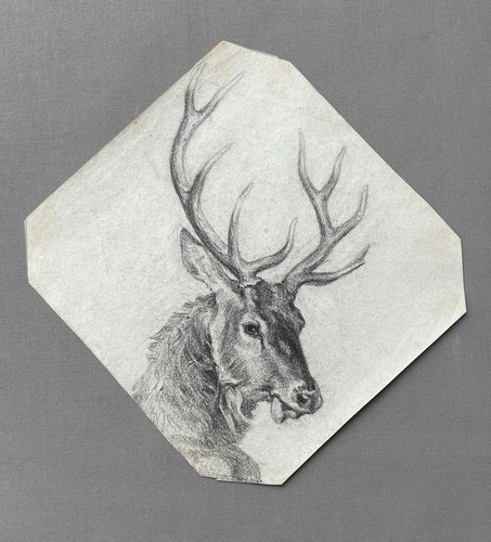 Cerf dessin la - cerf,,