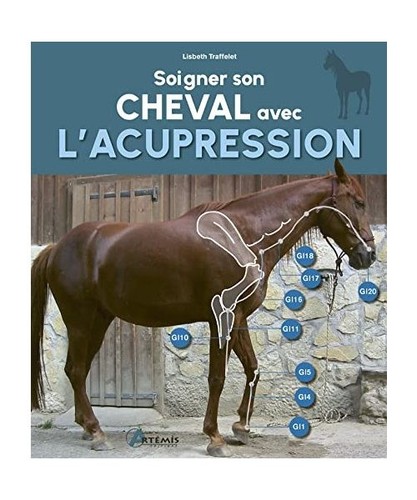 Soigner son cheval avec