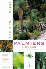 Palmiers et Cycas, David