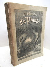 SCHLEIDEN LA PLANTE ET SA VIE