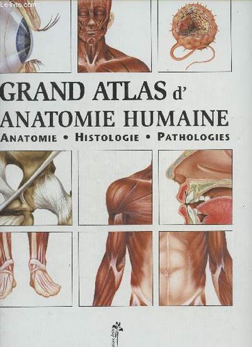 Grand atlas anatomie humaine - grand, d'anatomie