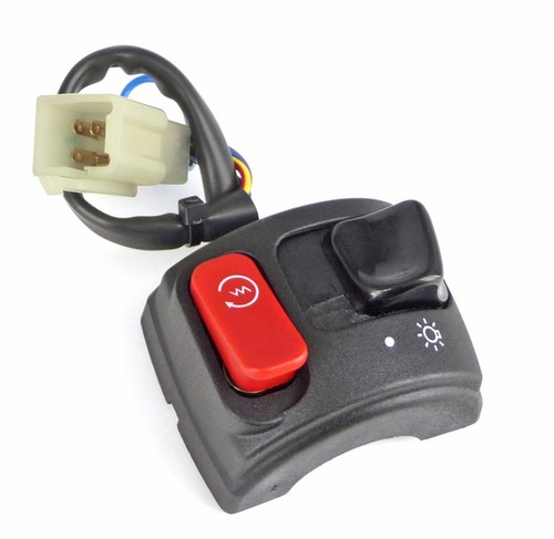 Commodo droit marque - , domino