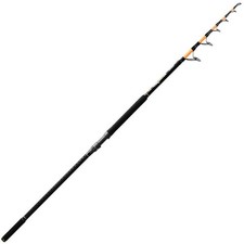 Canne À Pêche Esturgeon