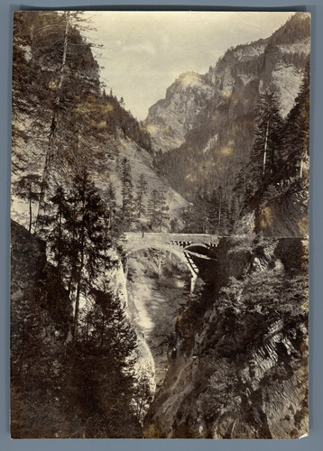 William england switzerland - william,