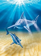 PLAYMOBIL - Jouet de