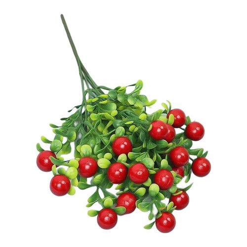 Plante fruitière fortune - , en