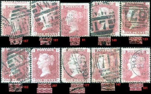 Carmin red yt - 1d, :26