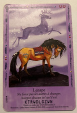 CARTE BELLA SARA LENAPE 13/65