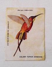 Autocollant / sticker colibri