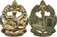 GROUPE PLONGEUR, DOREE , TIRAGE COLLECTIONNEURS, GIGN C