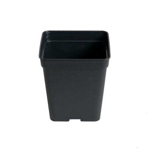 10x Pots carrés noir de