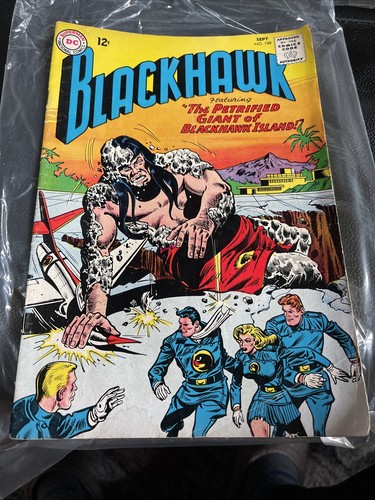 Black hawk comic featuring the - hawk,