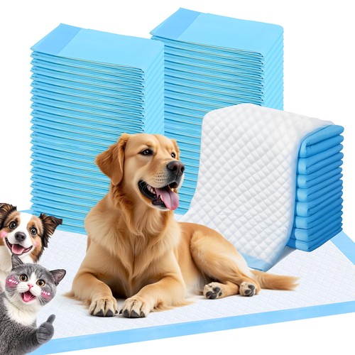 Scratchme lot tapis de - scratchme,
