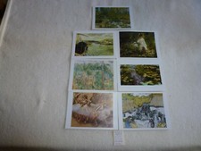 7 CARTES  POSTALES  GRANDS