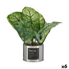 Plante décorative Ibergarden Métal Plastique Caladium 26 x 26 x 26 cm [6 Unit