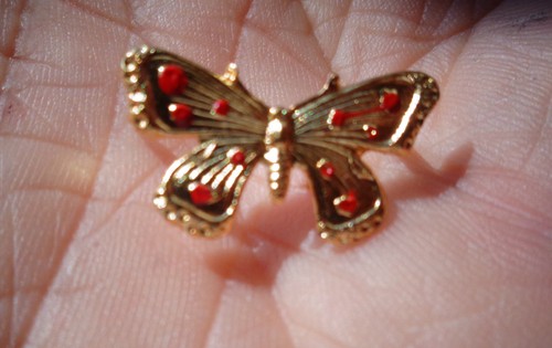 Petit papillon laiton - papillon,
