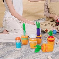 Trieur En Bois, Jouet