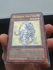 Bête Cristalline Tigre De