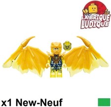 Lego Figurine Minifig Ninjago