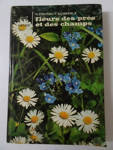 Fleurs des prés - fleurs,