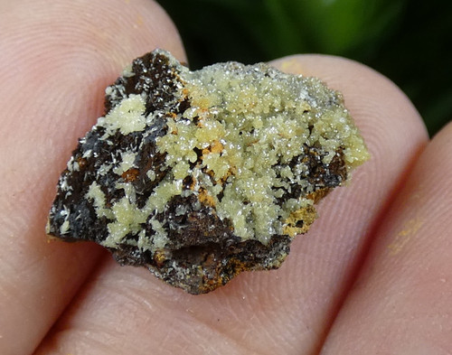 Micro minéral mimétite - minéral, jaune