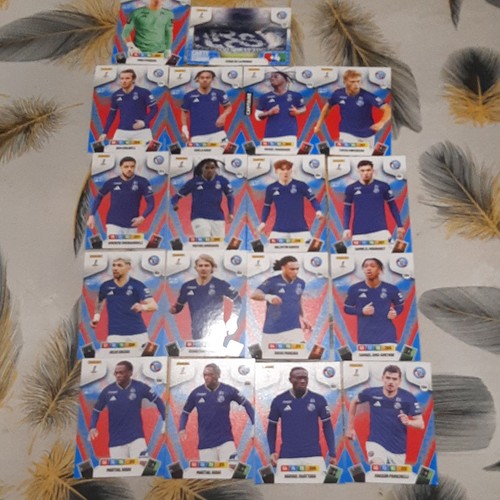 Adrenalyn painini cartes - painini,