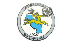 INSIGNE 7° DB BATAILLON