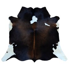 Marron Foncé Blanc Véritable