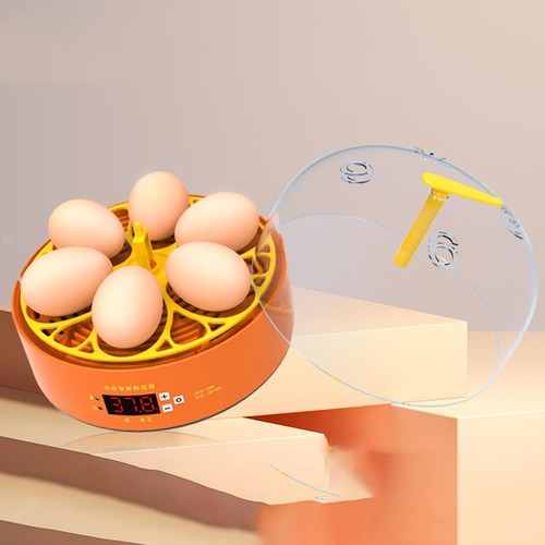 Incubateur œufs machine à - d'œufs,,