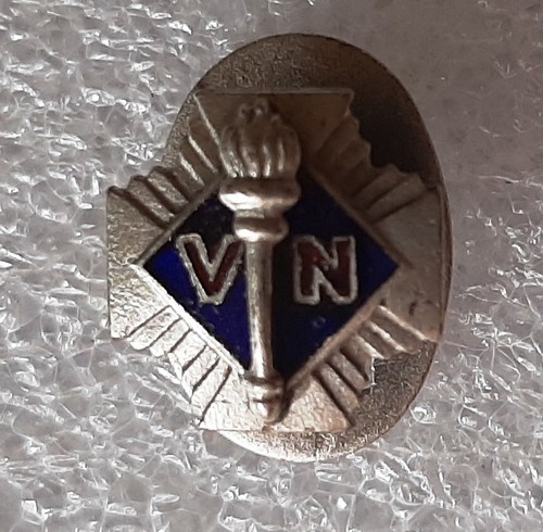 Insigne boutonnière politique - insigne,