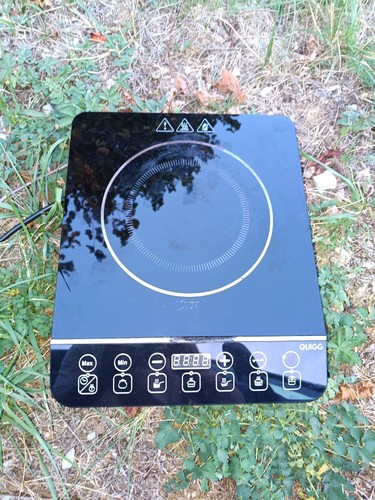 Quigg ik2011 plaque induction - plaque,