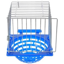  Nid d'oiseau Pigeon Éclosion