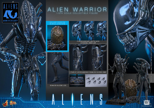 Preorder september 2027 - preorder,