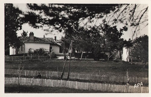 Foret gresigne 67842 - la,