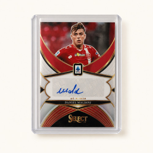 2024 panini select serie - 2024-25,