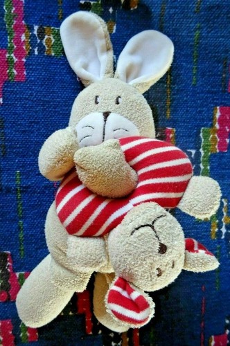 Doudou peluche nounours - doudou,