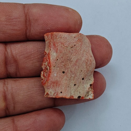 Corail rouge 100 naturel - corail, 100%