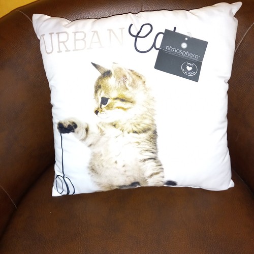 Coussin blanc effigie - coussin, l'effigie