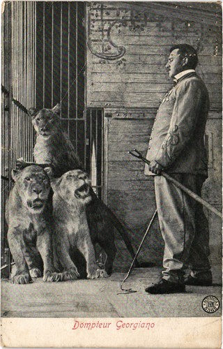 Circus dompteur georgiano - circus,,
