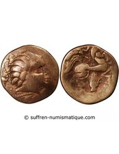 Pictons, Region De Poitiers -