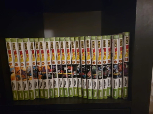 Manga intégral dragon - intégral,