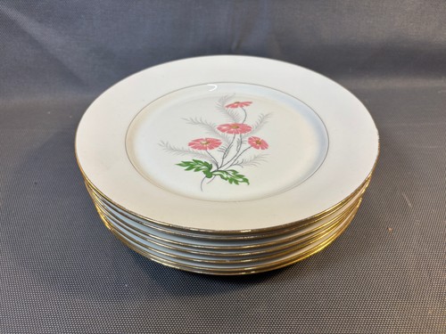 Lot anciennes assiettes - lot,